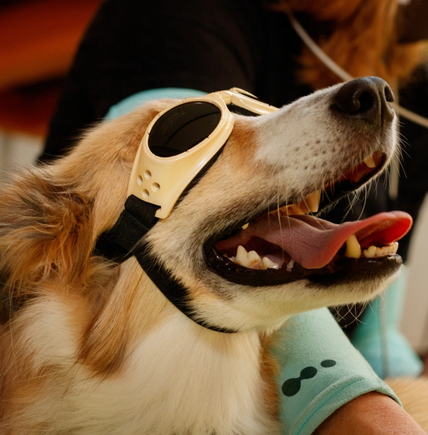 Laser Therapy