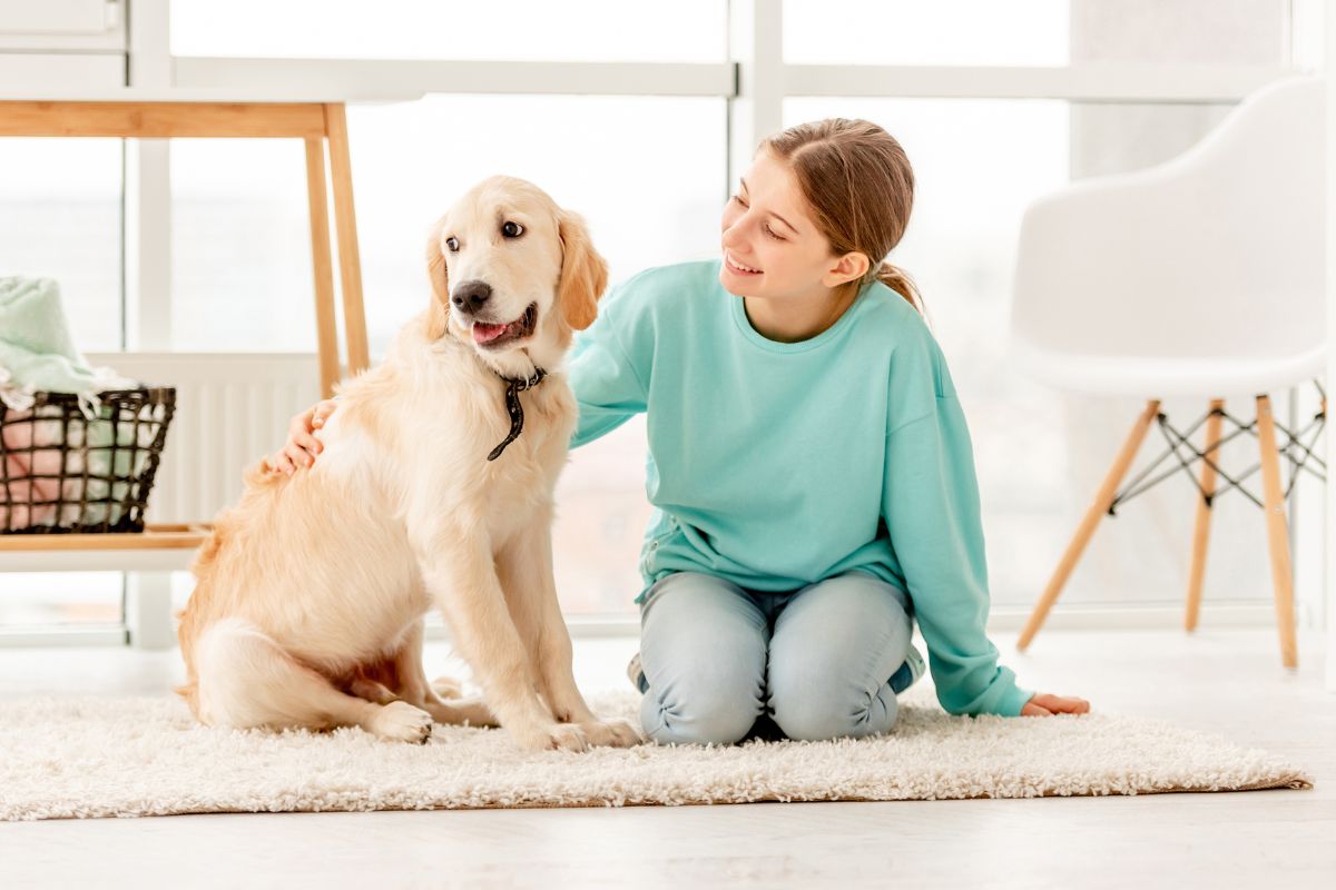indoor-pet-health-risks